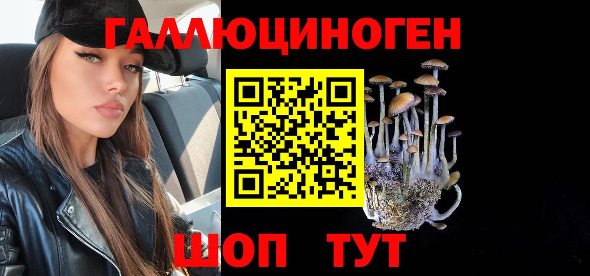 Галлюциногенные грибы Magic Shrooms  Вход с VPN  где можно купить   Псилоцибиновые грибы прущие грибы  Новороссийск 